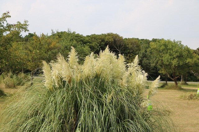 IMG_6995.jpg
