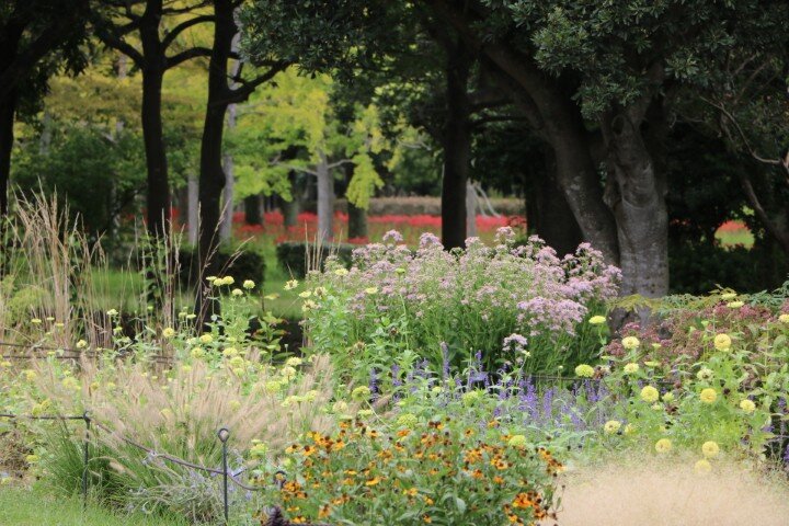 20251005 ペレニアルガーデン (小).JPG