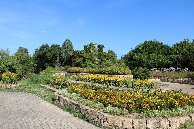 IMG_5659.jpg