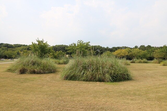 IMG_7000.jpg