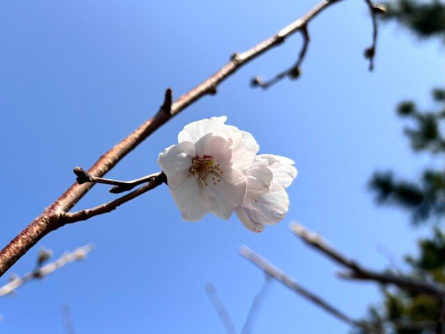 1774494711839 (小).jpg