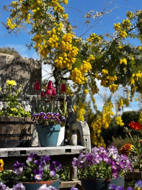 1773459668112 (小).jpg