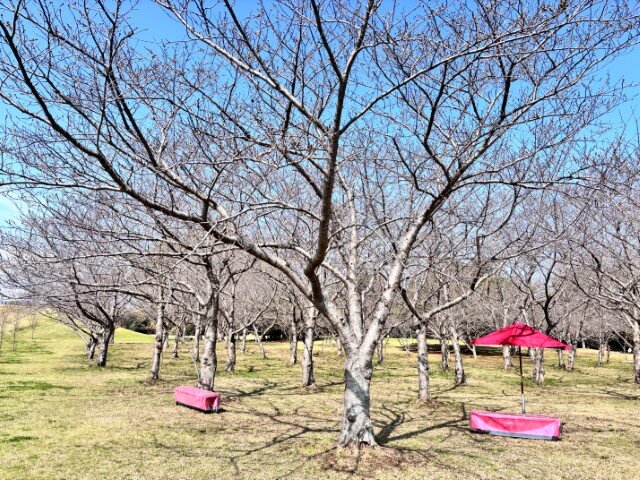 1774494719262 (小).jpg