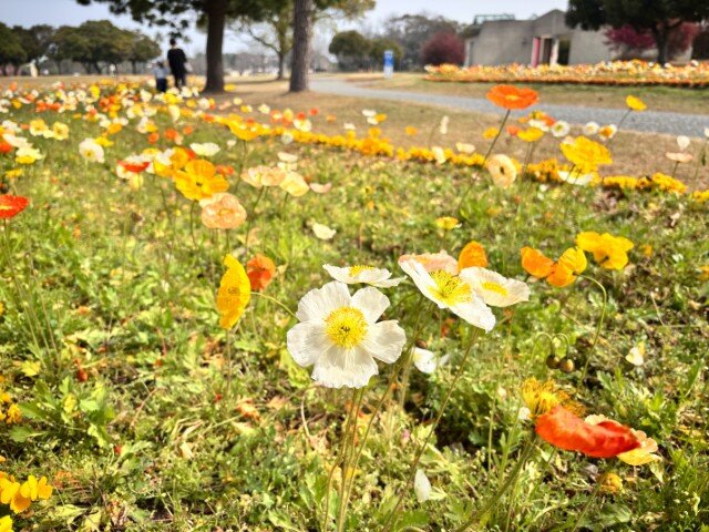 1774754021280 (小).jpg