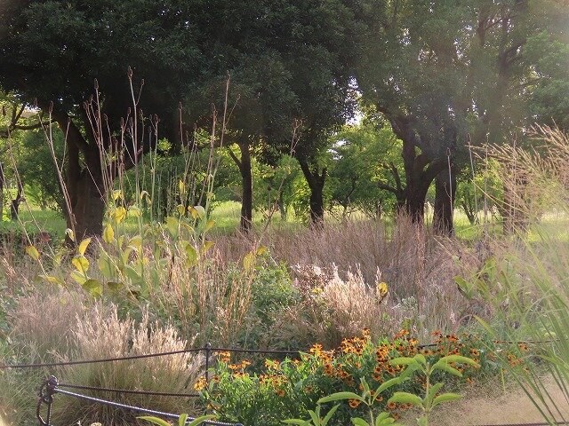image2 (1).jpg