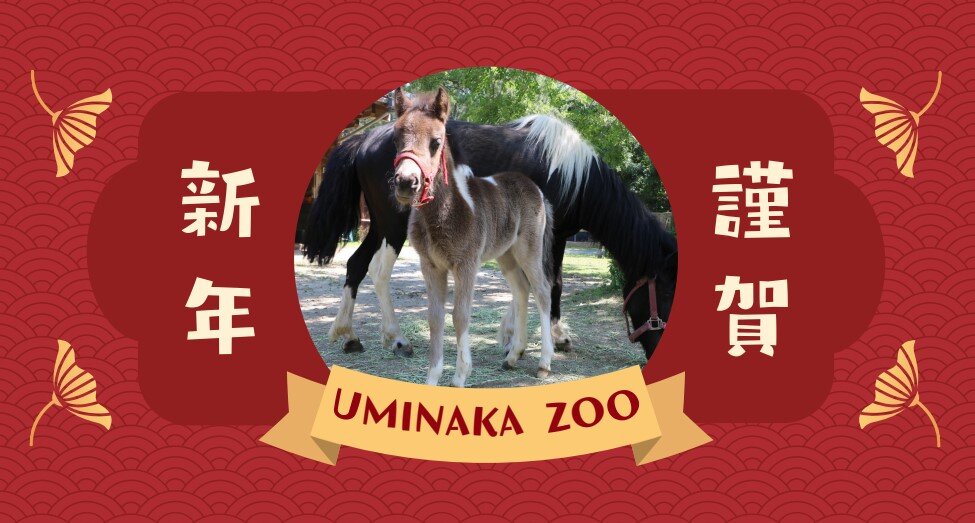 HP宣材ポニー.jpgのサムネイル画像