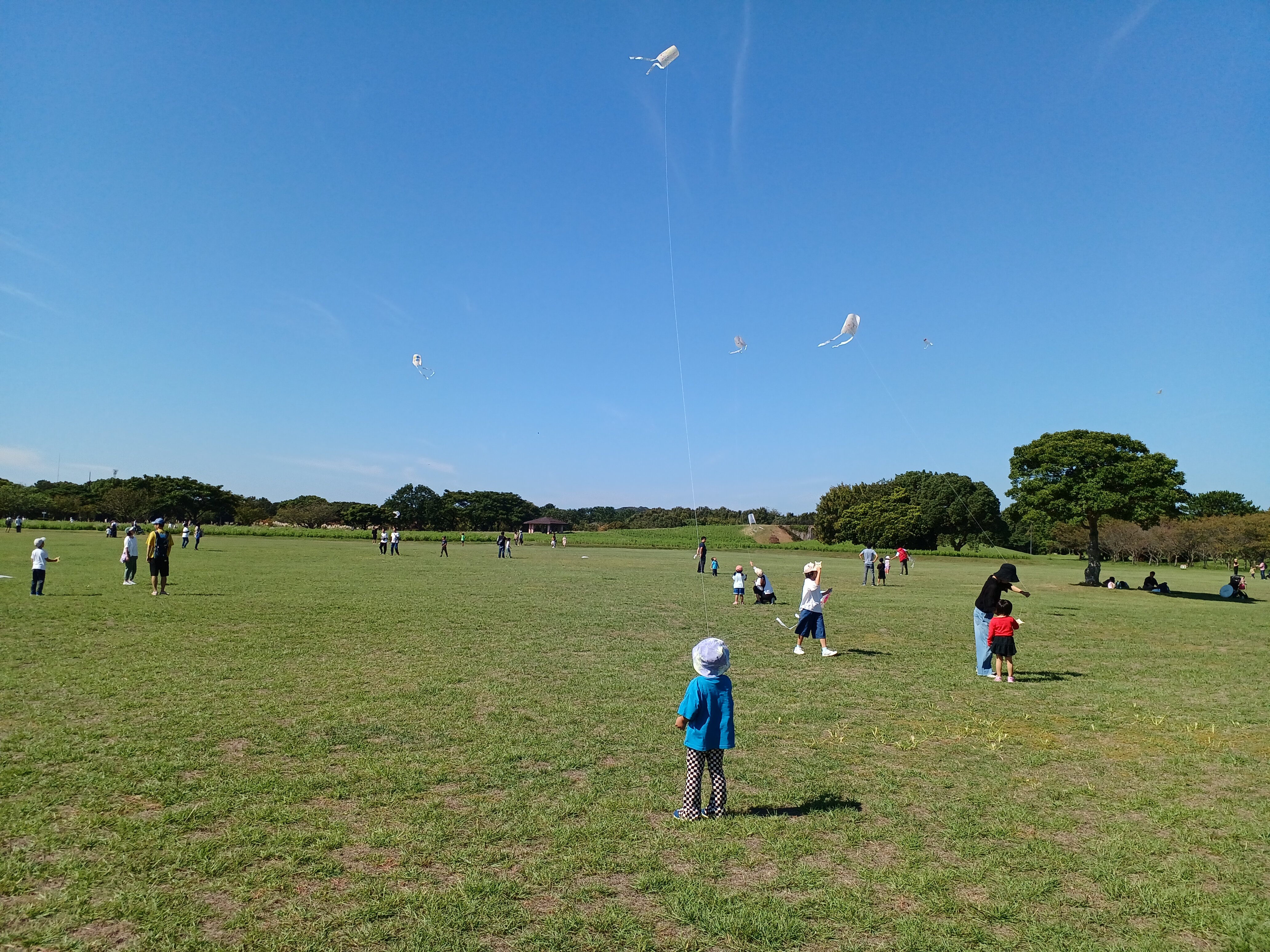 20241013_104052.jpg