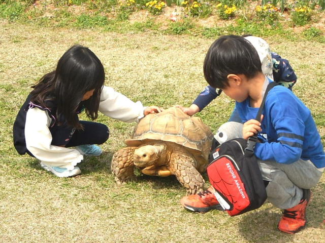 ハッピーアニマル出張ふれあいタイム (小).png