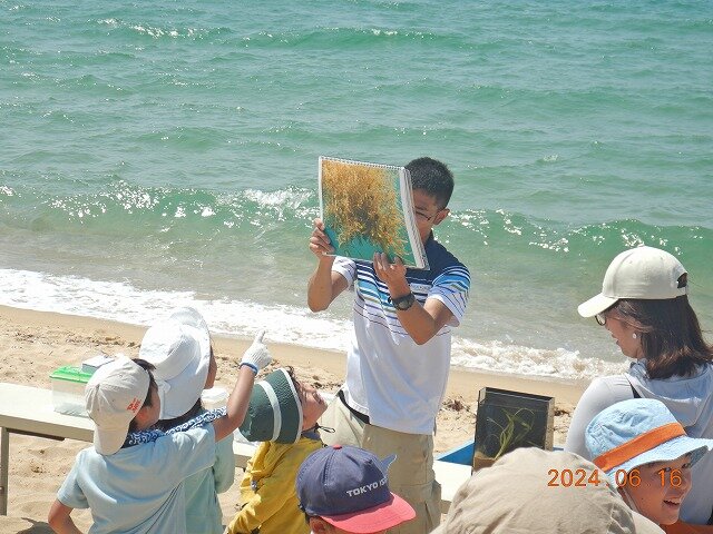 海辺と森の観察ツアー.jpg