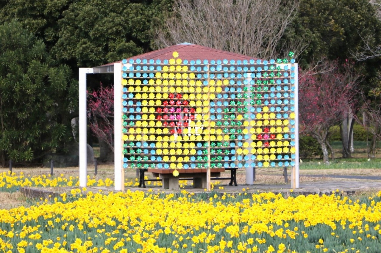 カザグルマフォトスポット