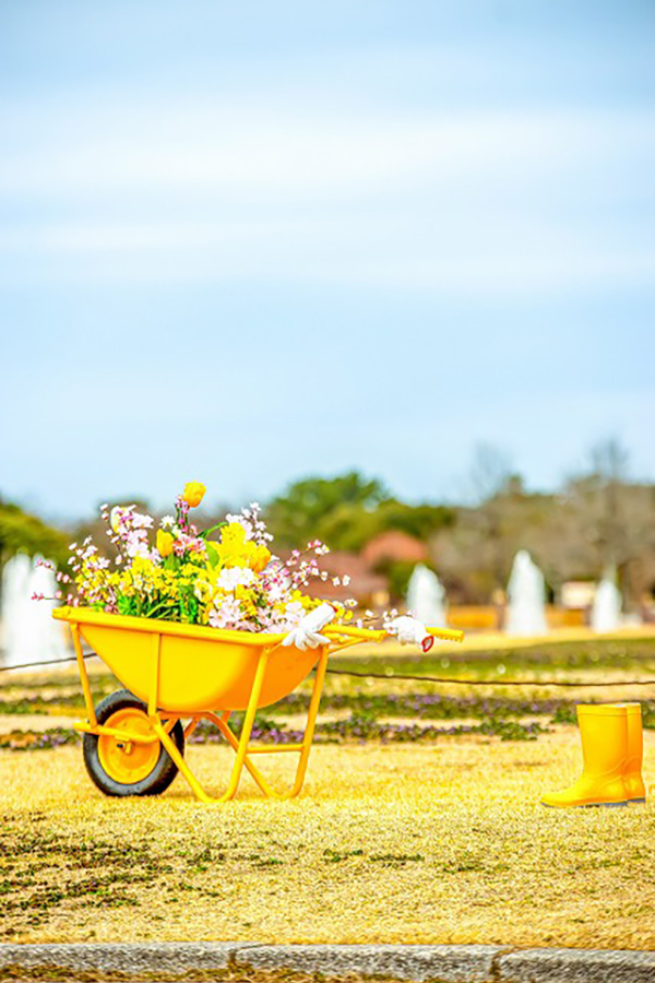 フォトスポット