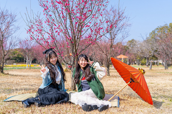 ゴザ＆和傘の無料貸出