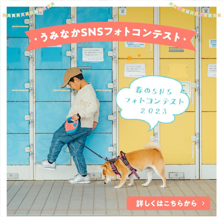 うみなかSNSフォトコンテスト