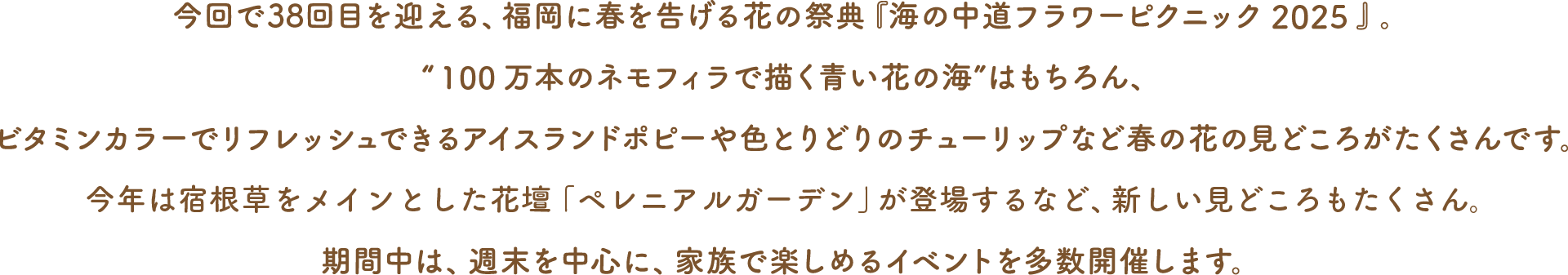 フラワーピクニックについて