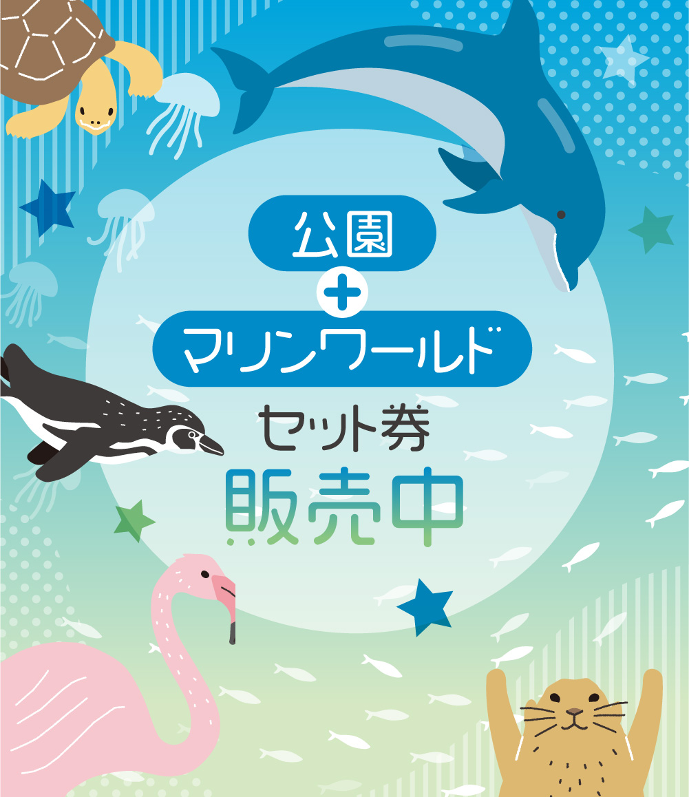 公園＋マリンワールドセット券販売中