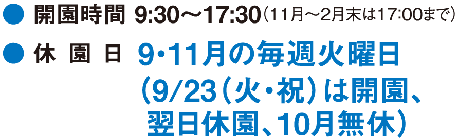 料金