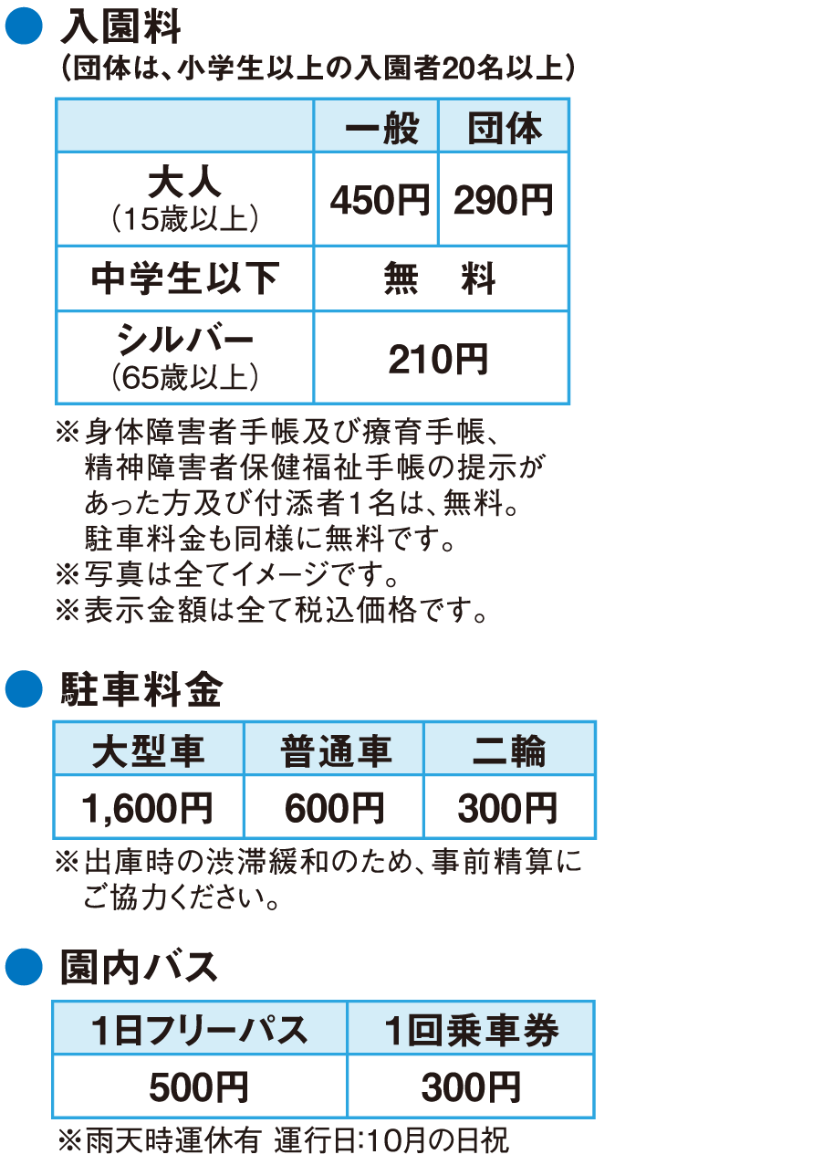 料金
