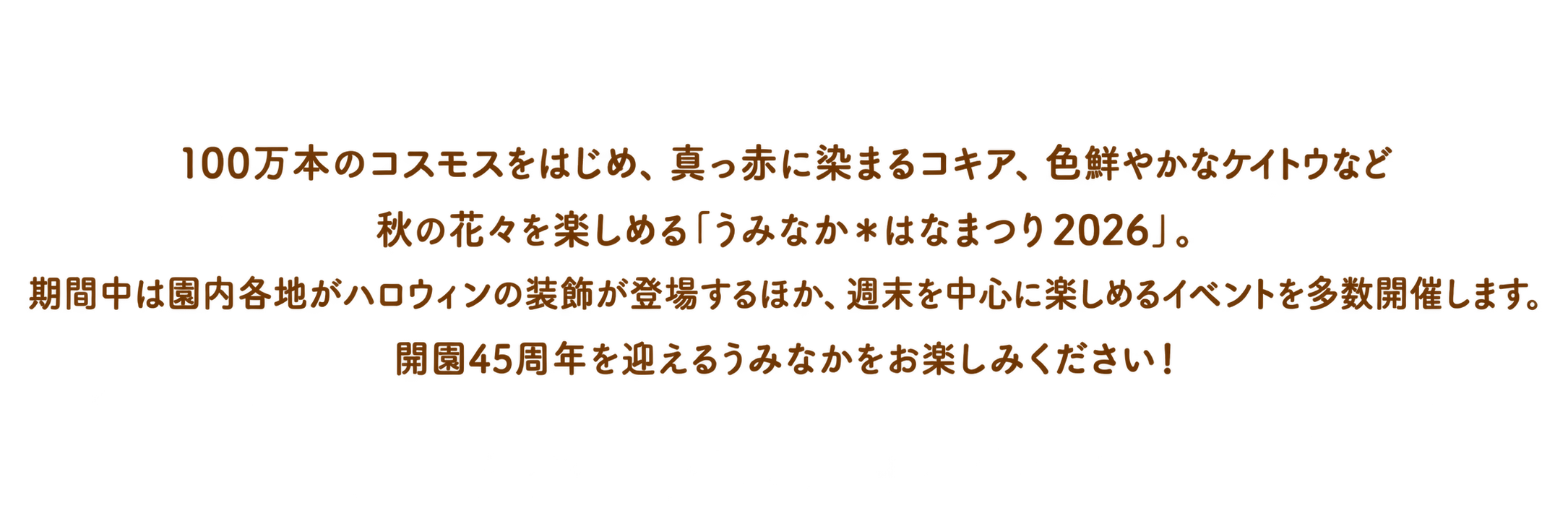 フラワーピクニックについて