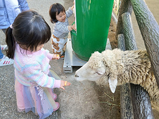 かわいい動物たちとふれあう