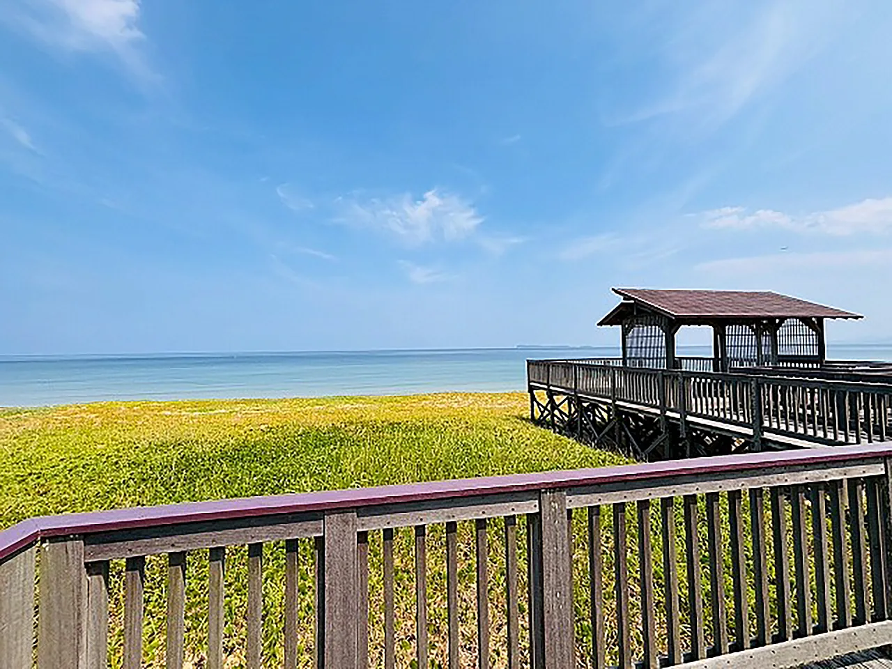海の中道海浜公園 潮見台