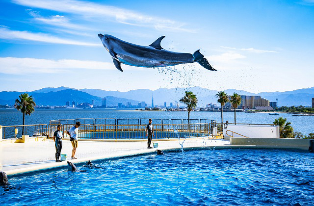 うみなかたび部門