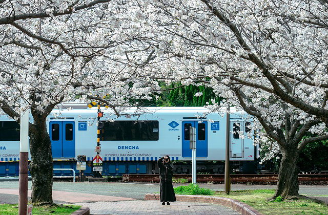 私が見つけた春部門