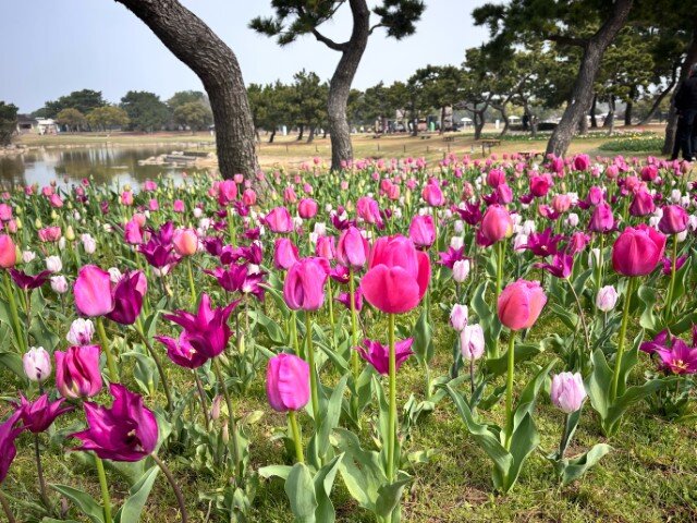 1774754011269 (小).jpg