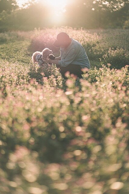 taraco.405 山辺様.jpg