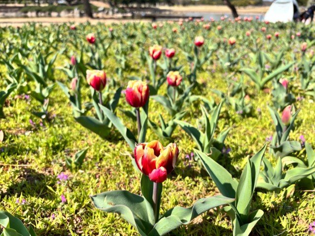 1774061039332 (小).jpg