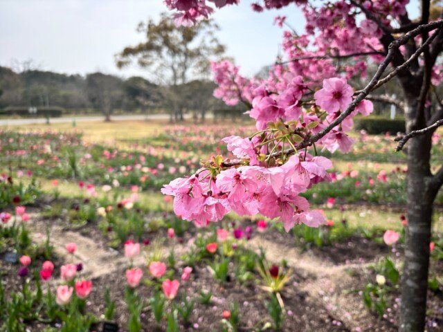 1774754074954 (小).jpg