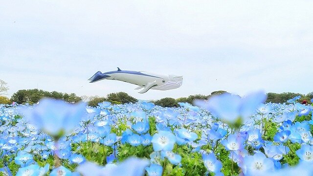 森様.jpg