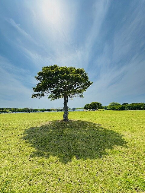 青柳様サイズ大.jpg