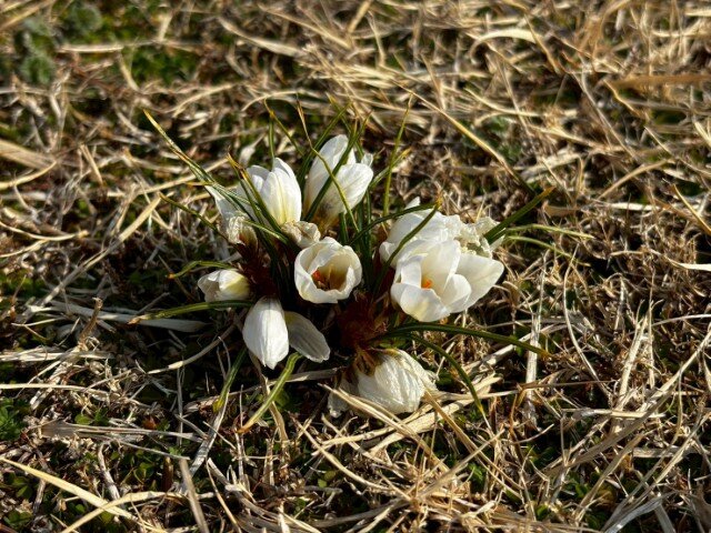 1771561645611 (小).jpg