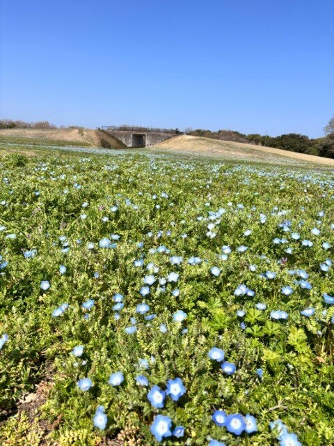 1774060922328 (小).jpg