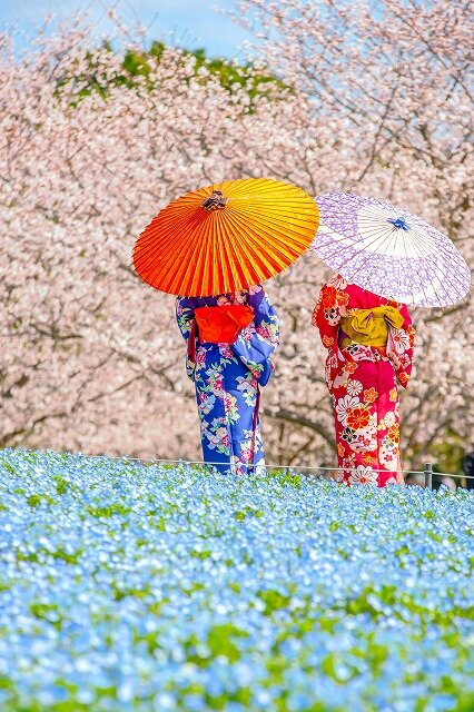 藤谷様.jpg