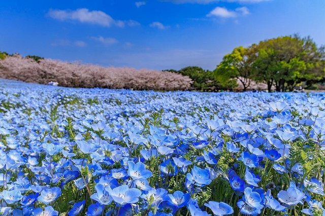 takanari_photo様.jpg