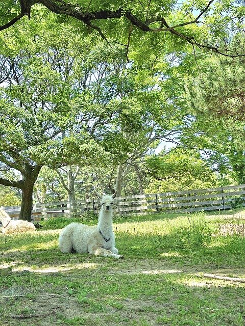 小笠原様.jpg