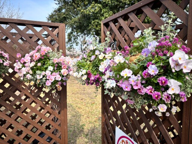 1774753978169 (小).jpg