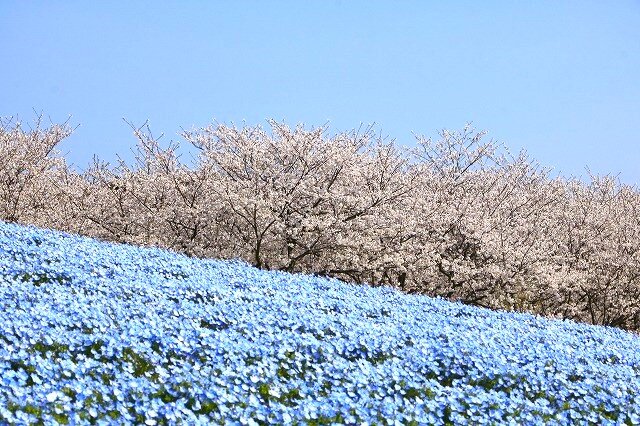 _MG_2592.jpg