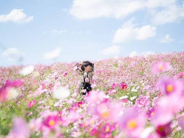 柳川美里.jpg