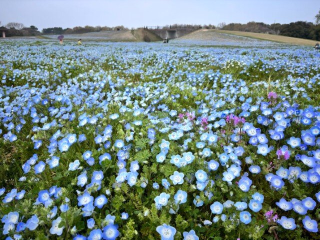 1774753807437 (小).jpg