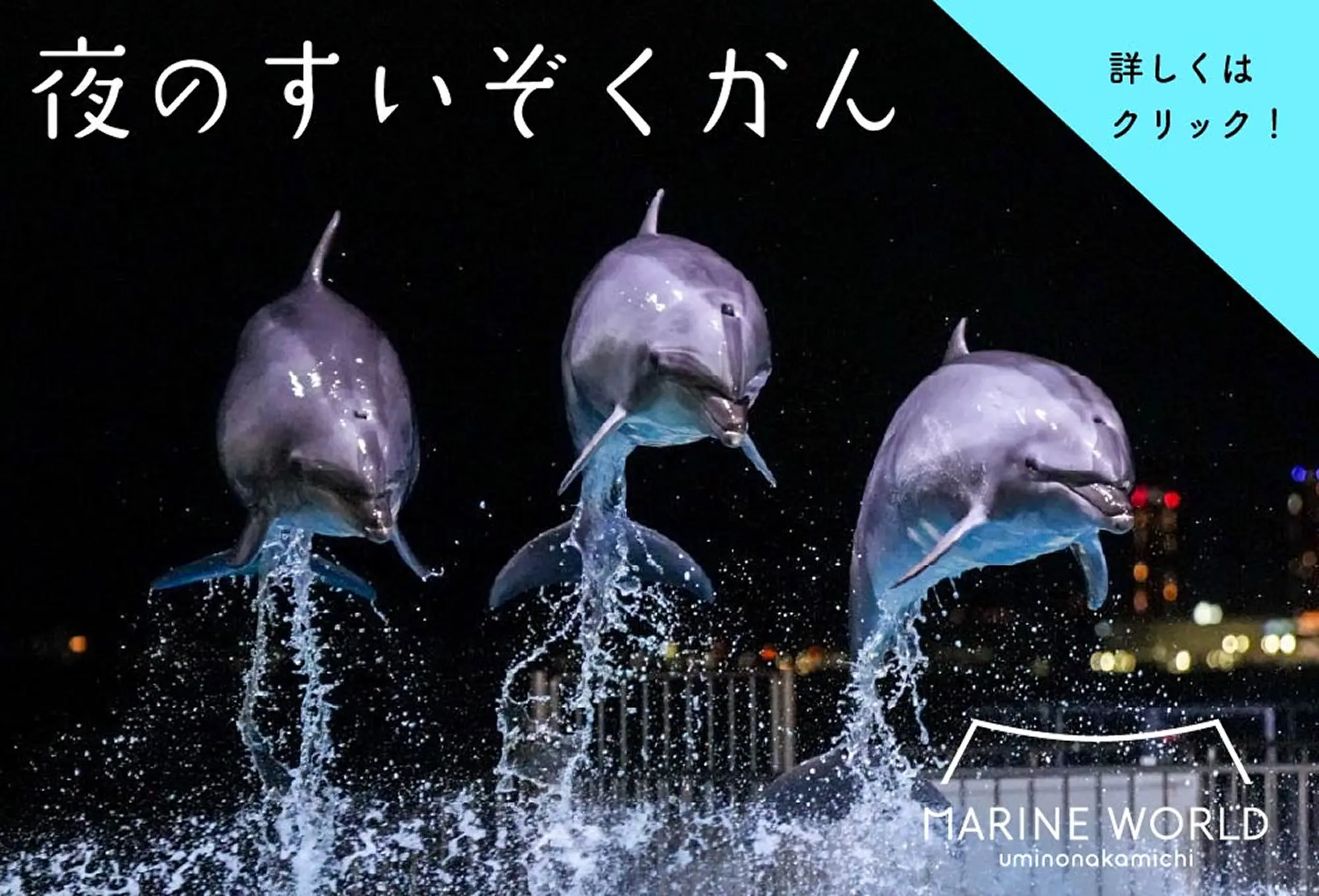 マリンワールド 夜のすいぞくかん