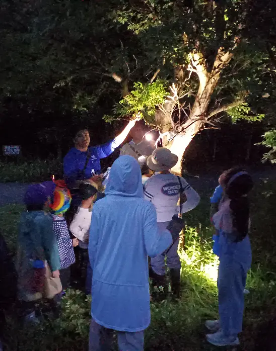 夜のいきもの観察会